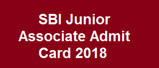 SBI Junior Associate Admit Card 2