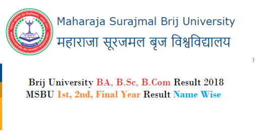 Brij University BA, B.Sc, B.Com Result 2018 MSBU 1st, 2nd, Final Year Result Name Wise