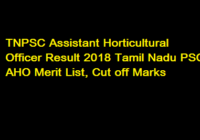 TNPSC Assistant Horticultural Officer Result 2018 Tamil Nadu PSC AHO Merit List, Cut off Marks