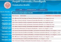 Punjab University B.Sc 5th Sem Result 2024 By Name/ Roll No Search PU BSc Results Date @puchd.ac.in