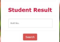 LNMU B.Ed 2nd Year Result 2022 यहाँ देंखे lnmu.ac.in BEd Result Date