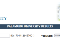 Palamuru University Degree 3rd & 5th Sem Results 2025 Manabadi PU UG Result Date @www.palamuruuniversity.com